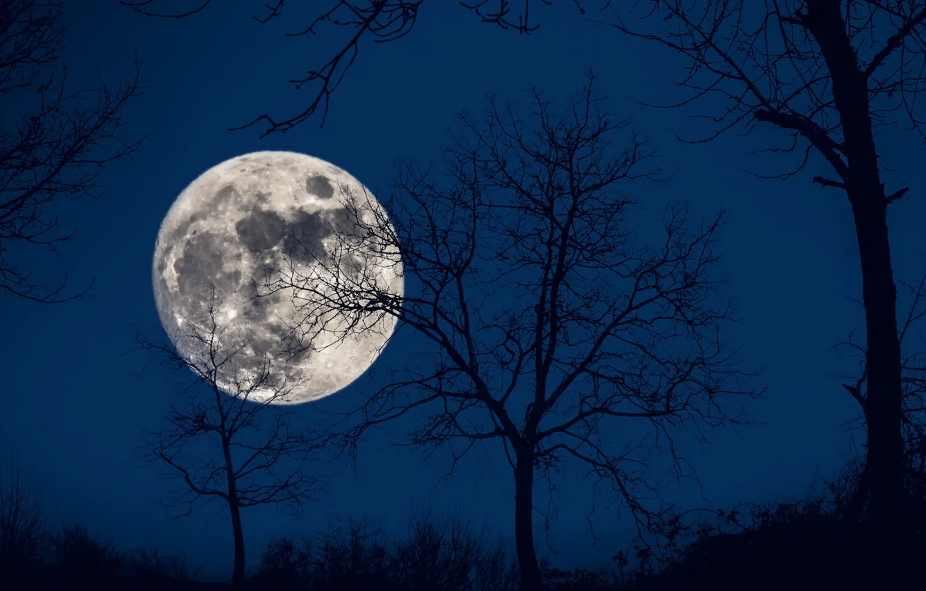 Фото обои небо, ночь, луна
