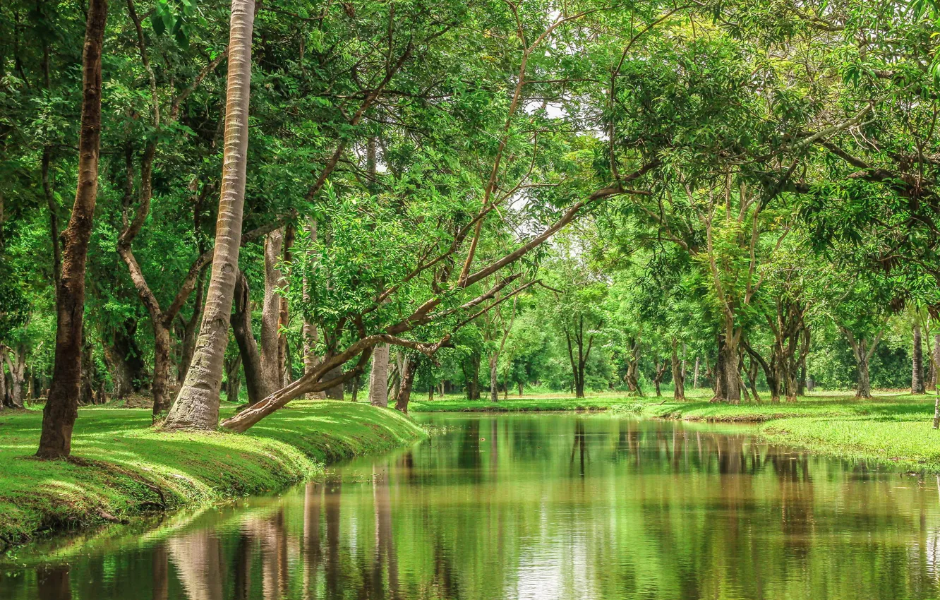 Фото обои деревья, пейзаж, природа, река, красота, Таиланд