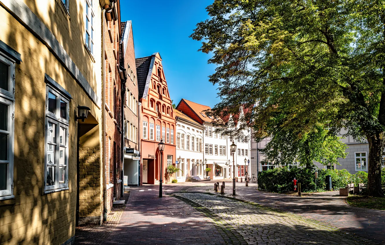Фото обои деревья, город, улица, здания, Германия