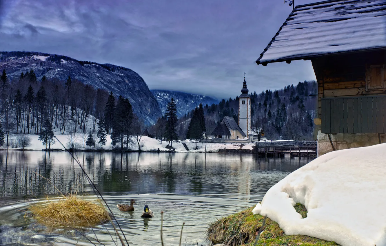 Фото обои зима, облака, пейзаж, птицы, мост, природа, озеро, утки