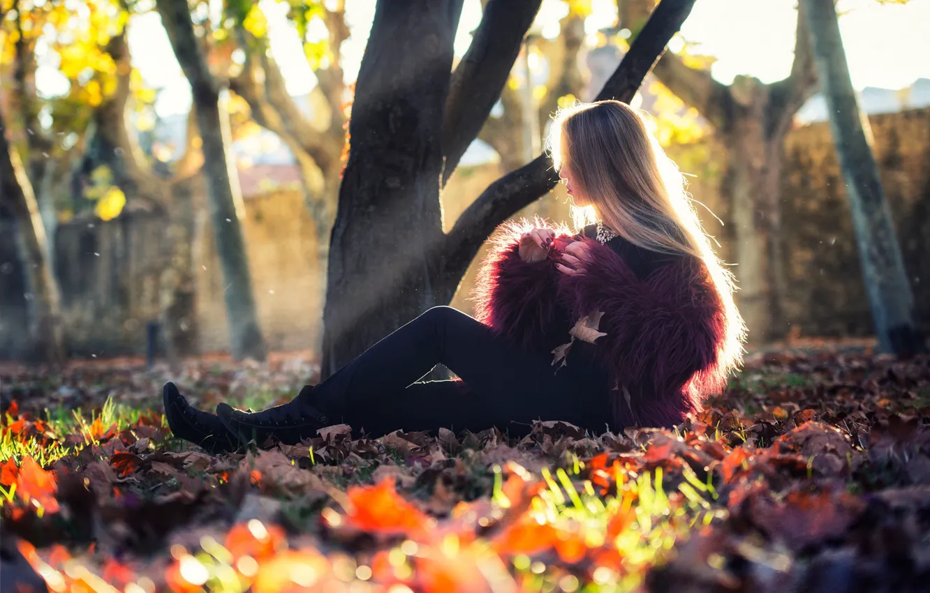 Фото обои осень, девушка, солнце, деревья, фото, листва, модель, волосы