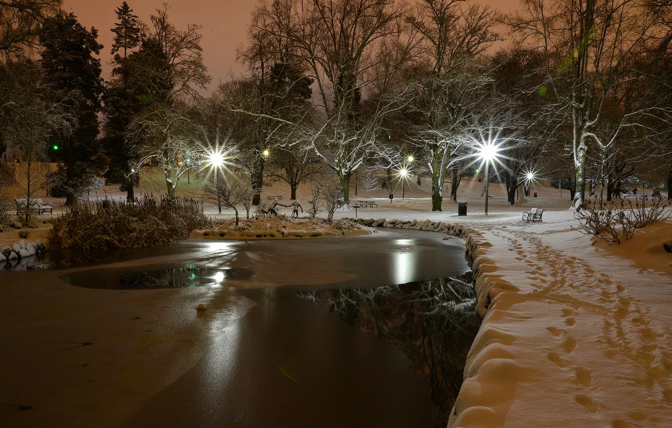 Фото обои Washington, Tacoma, Wright Park, Snow night