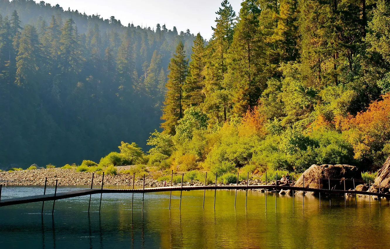 Фото обои осень, лес, деревья, мост, озеро, камни, берег, Калифорния