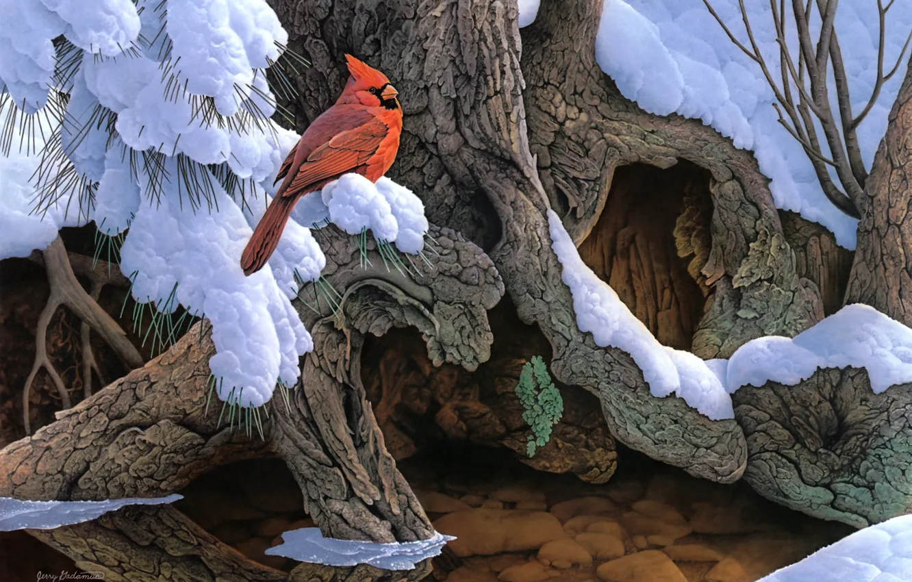 Фото обои зима, снег, дерево, птица, живопись, кардинал, Jerry Gadamus, The Witness Tree