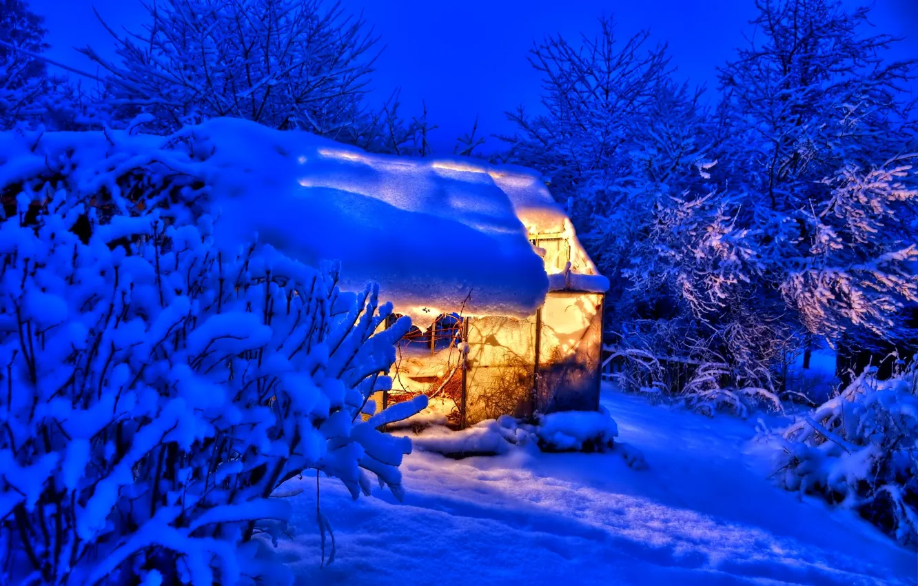 Фото обои зима, свет, снег, деревья, природа, домик