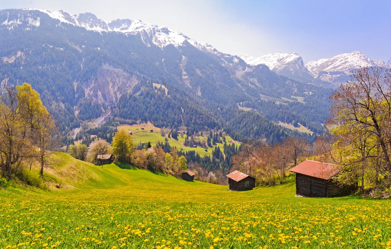 Фото обои Поле, Горы, Деревья, Швейцария, Деревня, Склон, Switzerland
