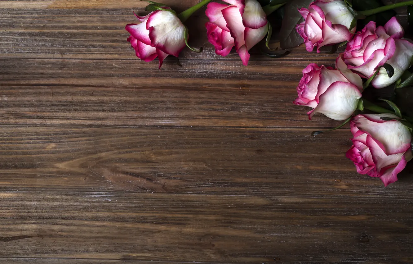 Фото обои цветы, розы, розовые, бутоны, wood, pink, flowers, beautiful