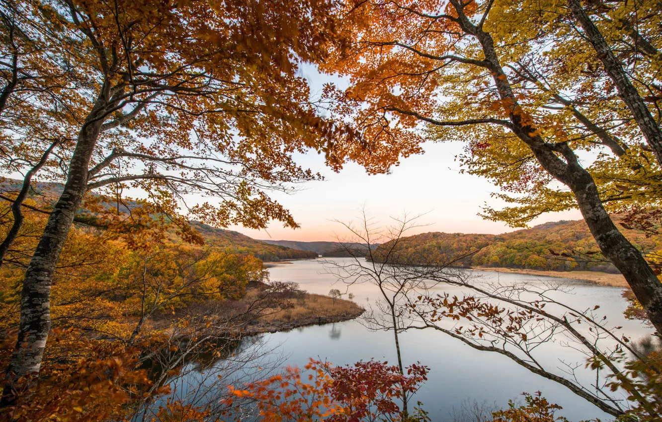 Фото обои trees, autumn, lake, leaves, branches, fall, foliage, fall colors