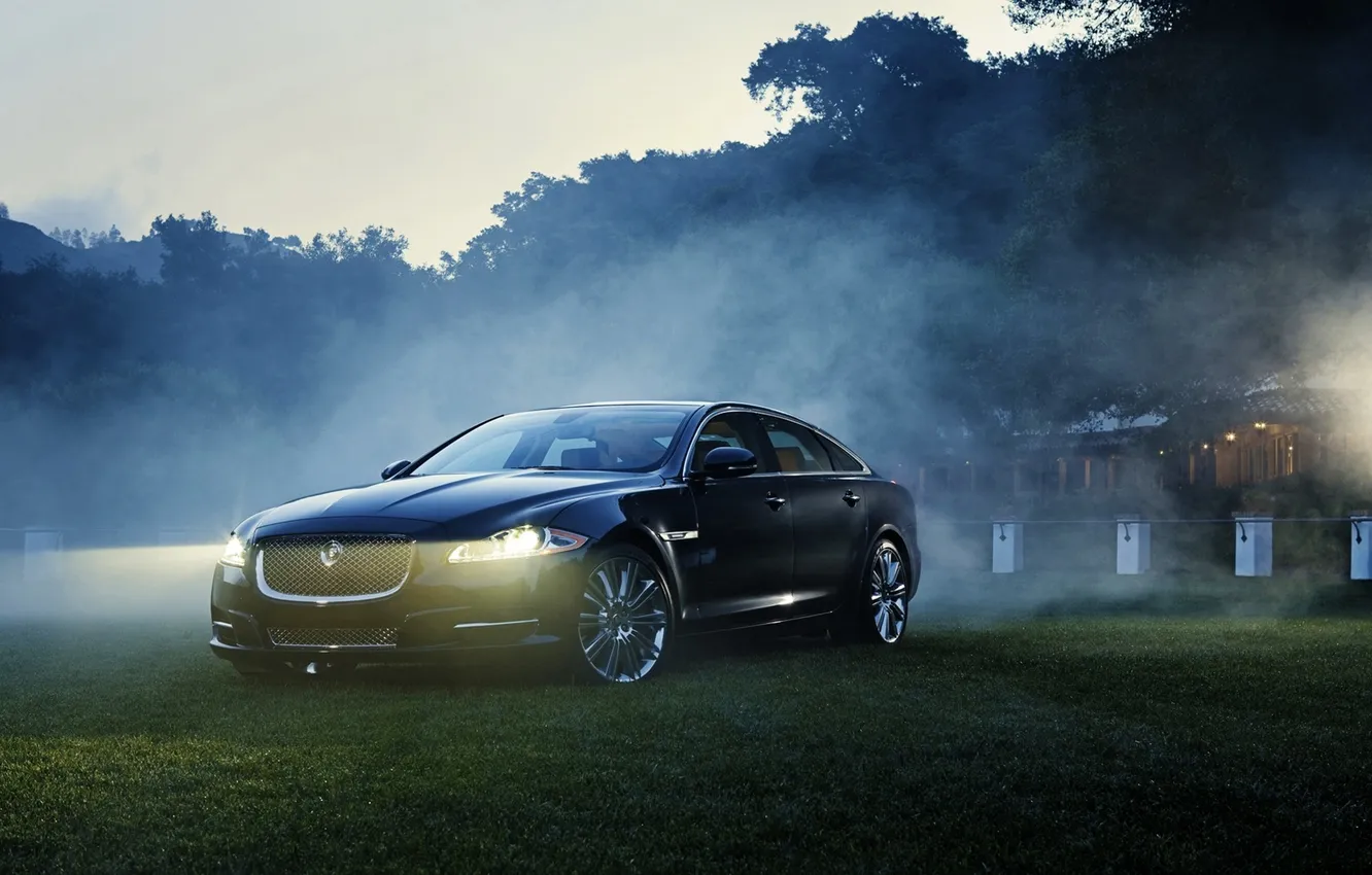 Фото обои машина, авто, трава, деревья, природа, туман, фары, Jaguar