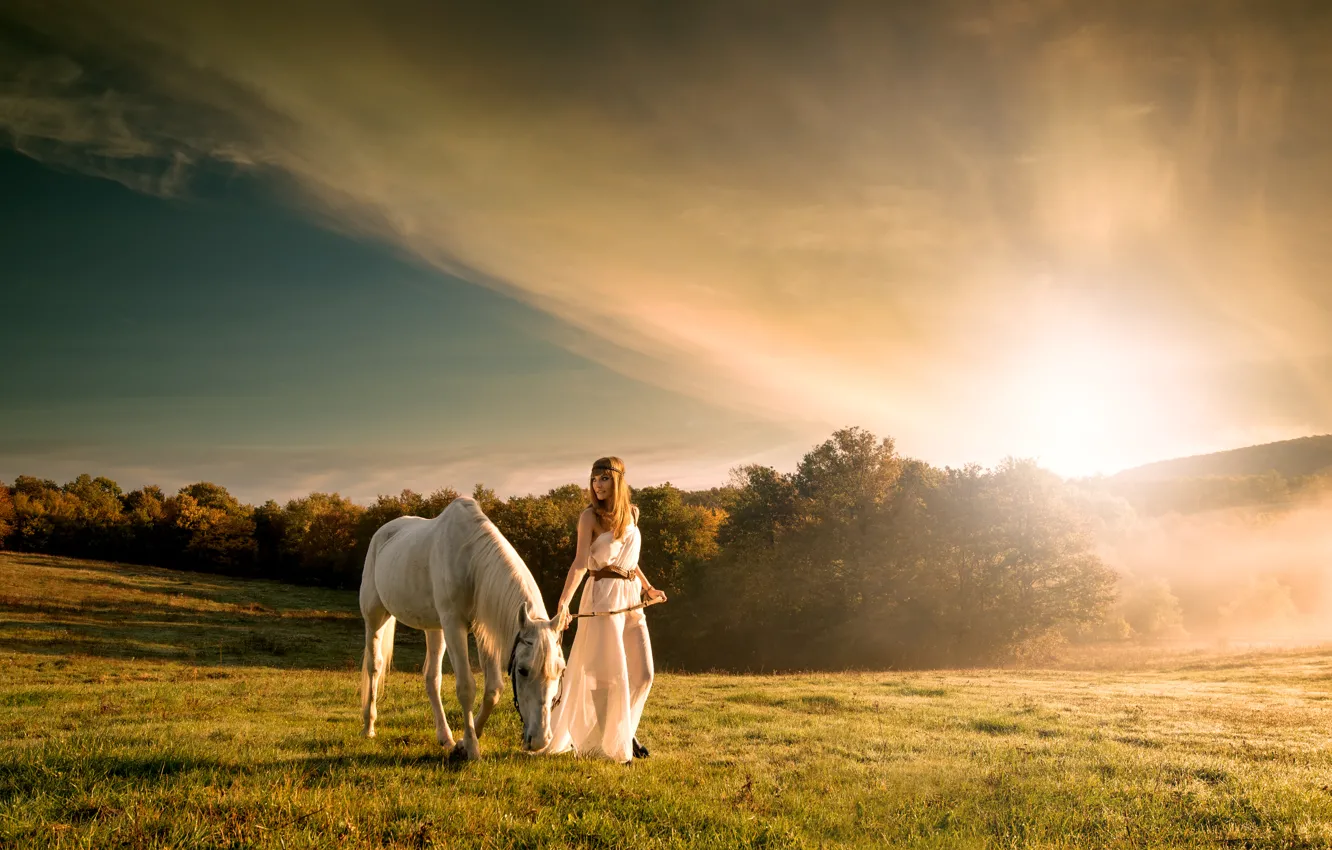 Фото обои поле, небо, трава, лошадь, Девушка, кусты