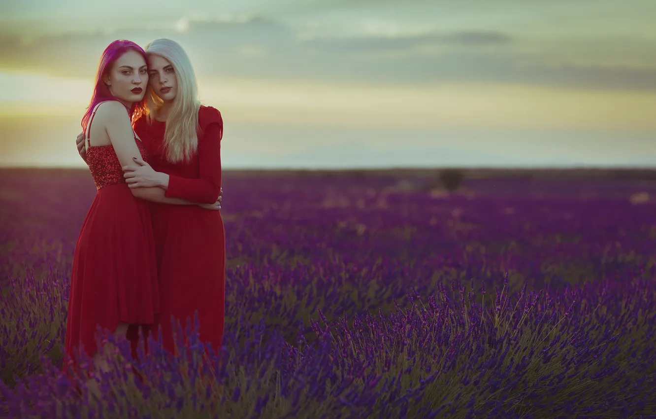 Фото обои поле, девушка, лицо, волосы, платье, в обнимку