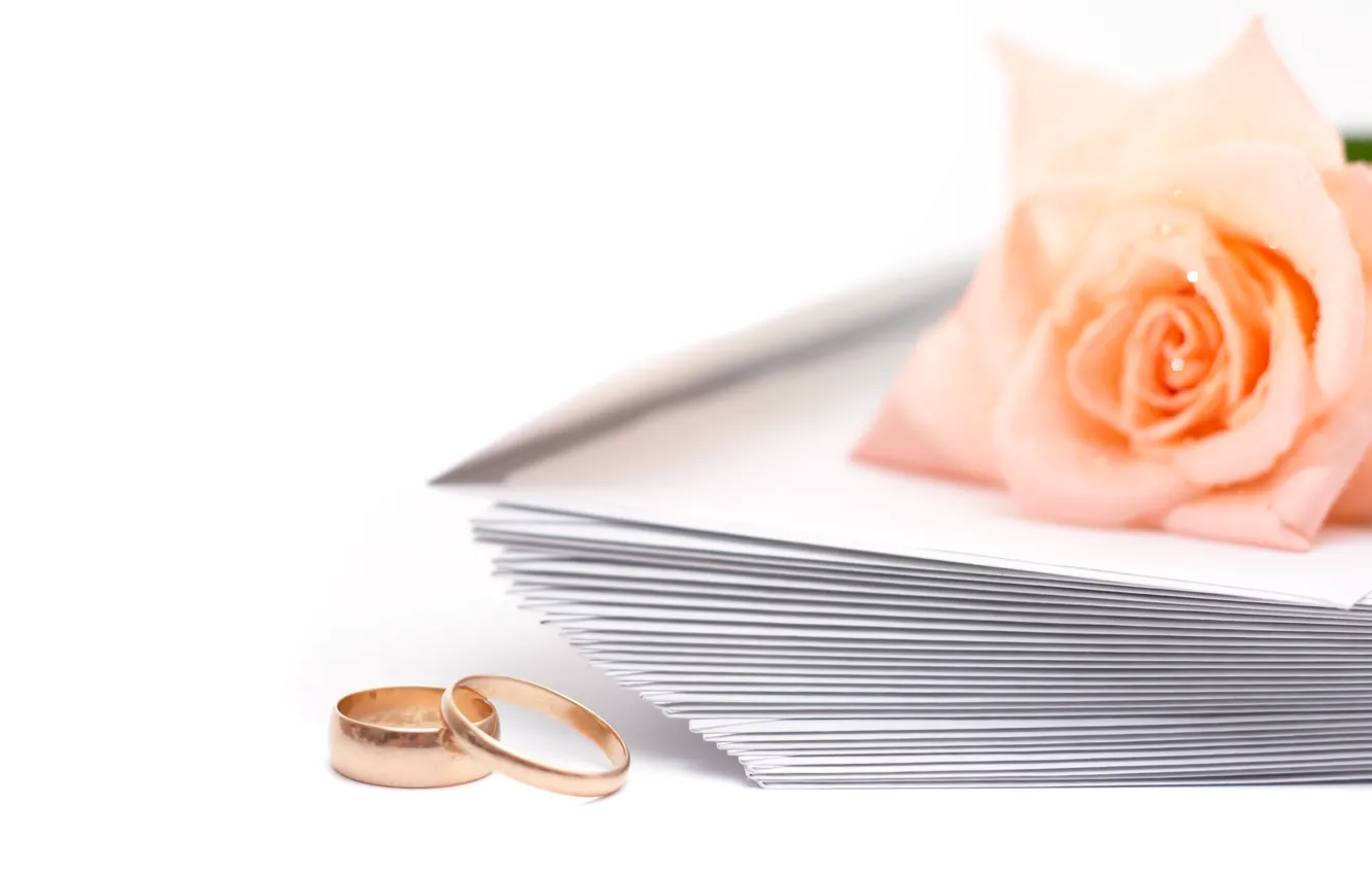 Фото обои роза, Обручальные кольца, свадьба, конверты