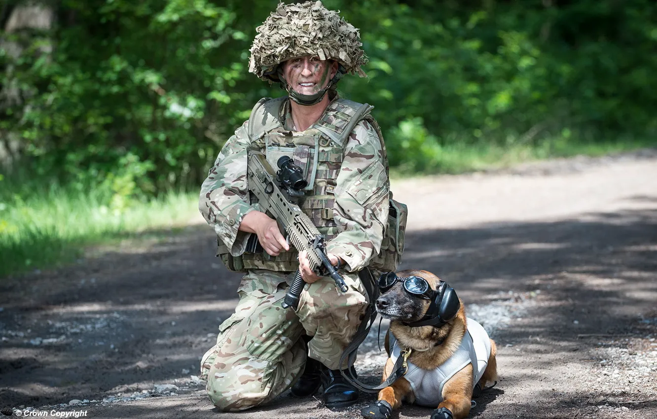 Фото обои собака, армия, солдат