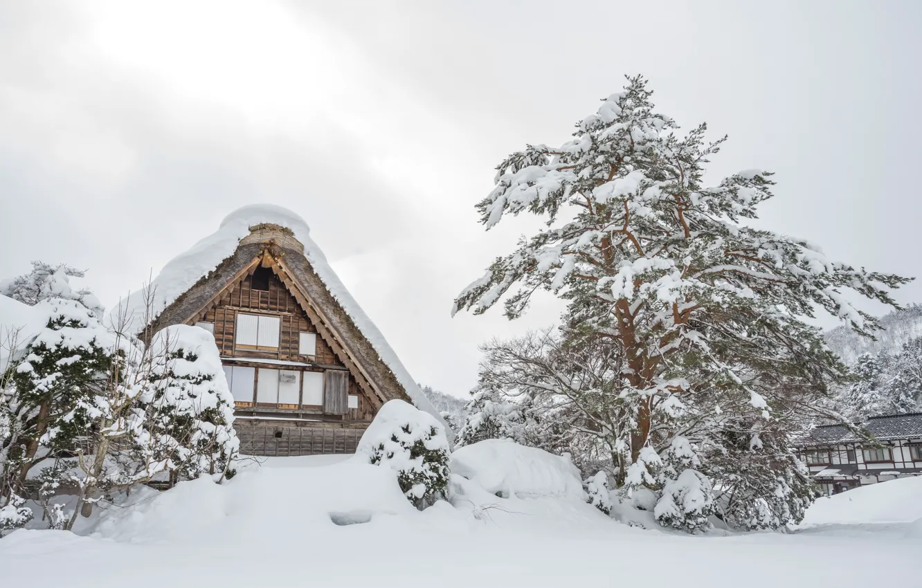 Фото обои зима, снег, деревья, пейзаж, зимний, house, хижина, landscape
