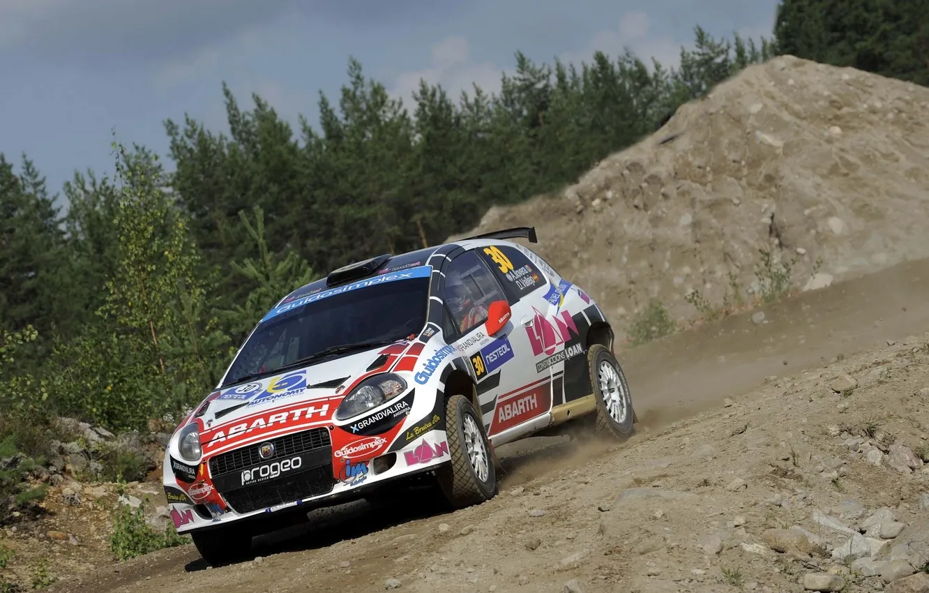Фото обои машина, лес, WRC, Rally, Ралли, Abarth, Grande Punto