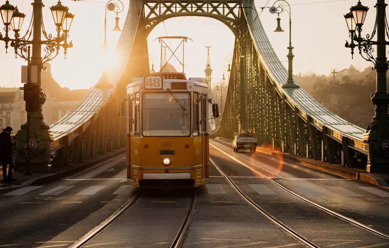 Фото обои мост, фонари, трамвай, Венгрия, Hungary, Будапешт, Budapest, Мост Свободы