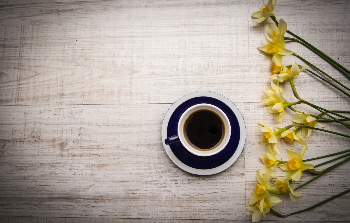 Фото обои цветы, кофе, напиток, flowers, нарциссы, coffee