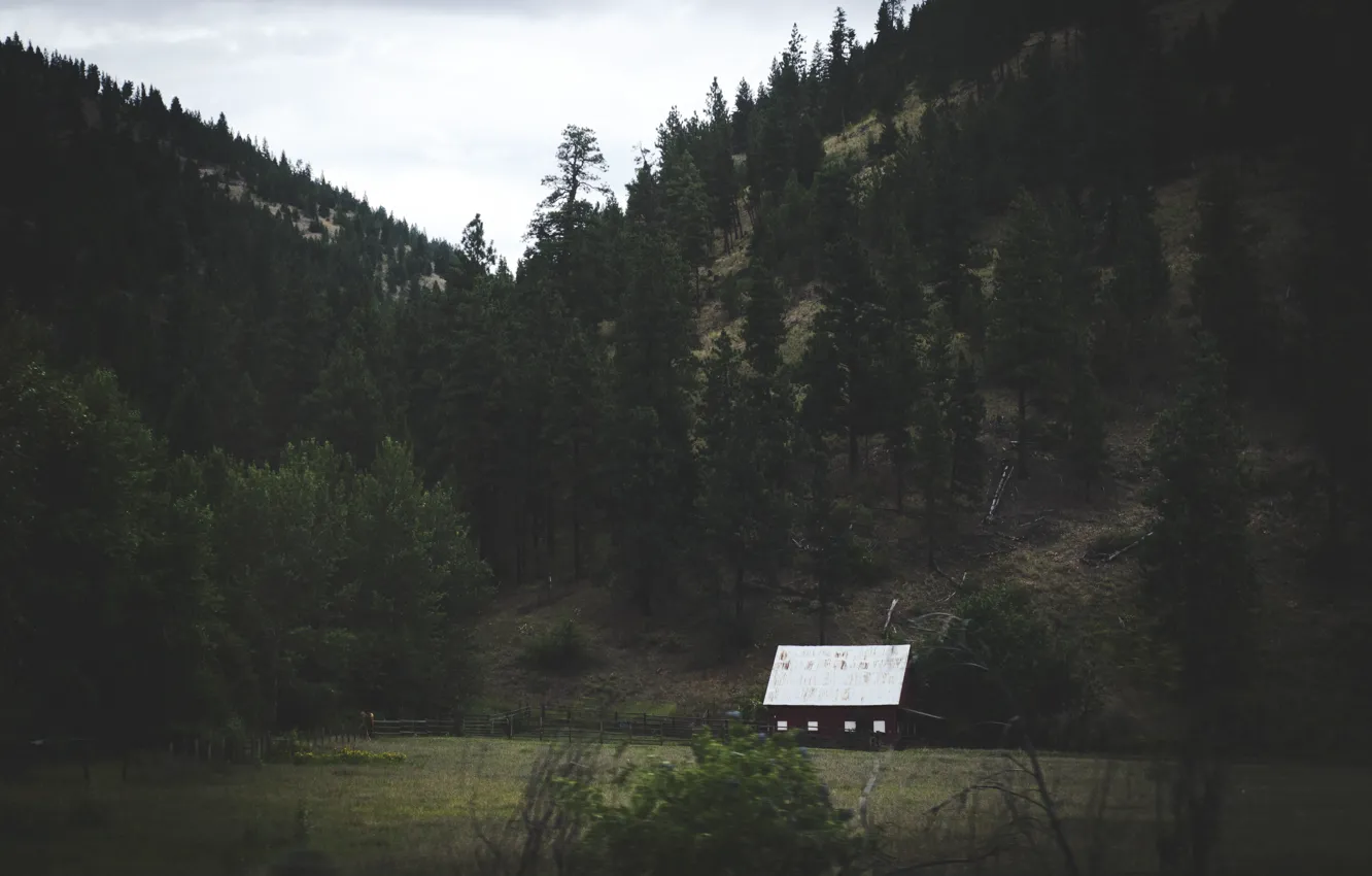 Фото обои house, landscape, nature, mountains, North, spruce, pines, Autumn Aurora