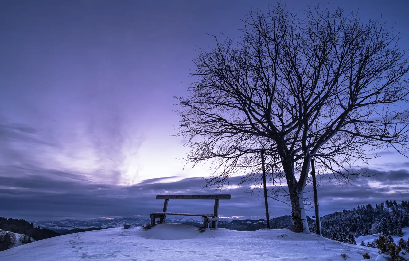 Фото обои зима, ночь, скамья