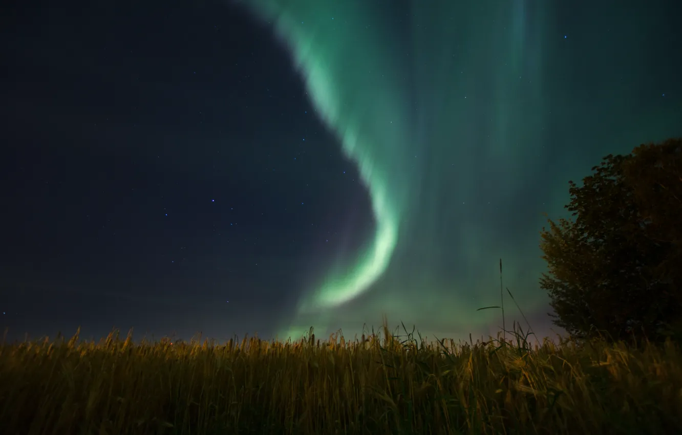 Фото обои небо, звезды, ночь, природа, северное сияние, Aurora Borealis