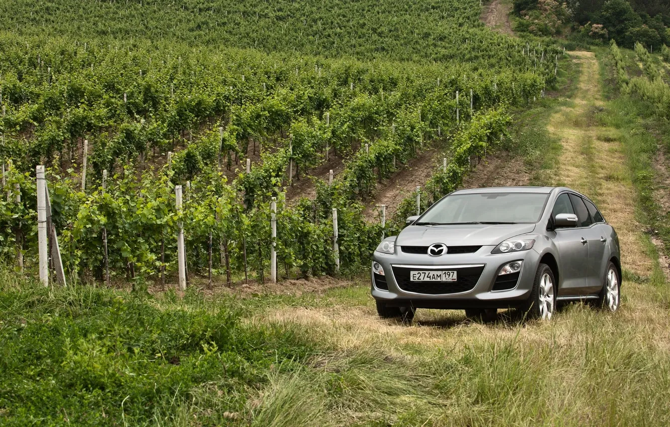 Фото обои трава, серый, Мазда, джип, виноградник, Mazda, передок, кроссовер