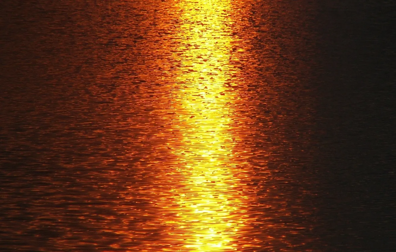 Фото обои море, вода, солнце, свет, закат, природа, отражение, река