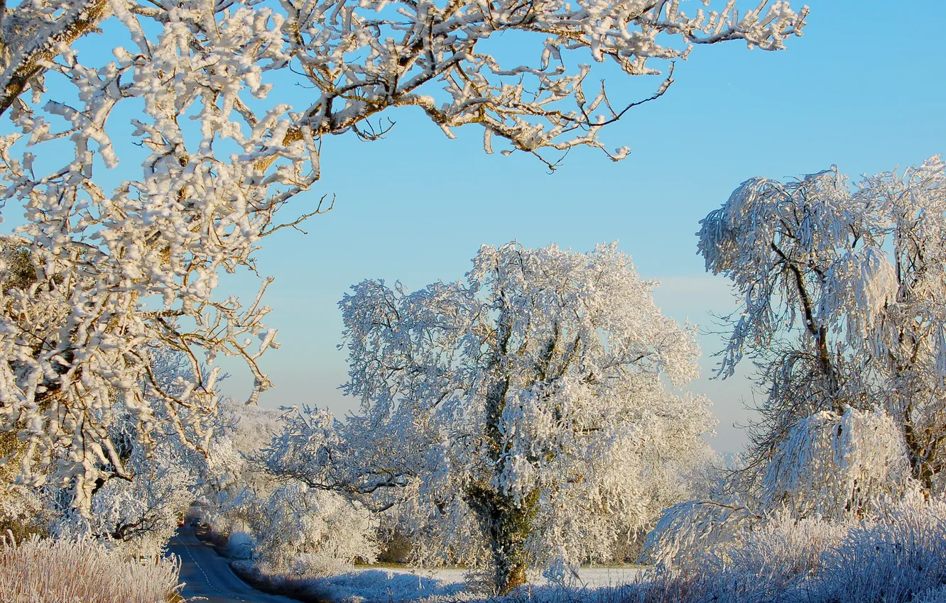 Фото обои зима, дорога, снег, деревья, природа, иний