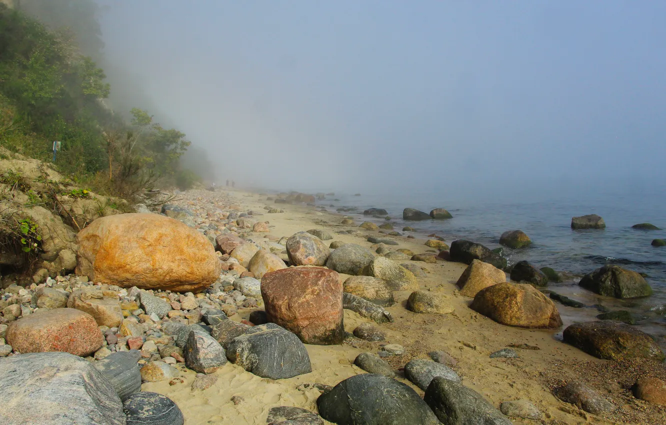 Фото обои beach, sea, fog, stones