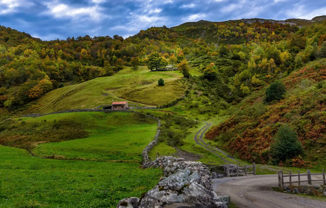 Фото обои дорога, поле, осень, деревья, холмы, Испания, Leon