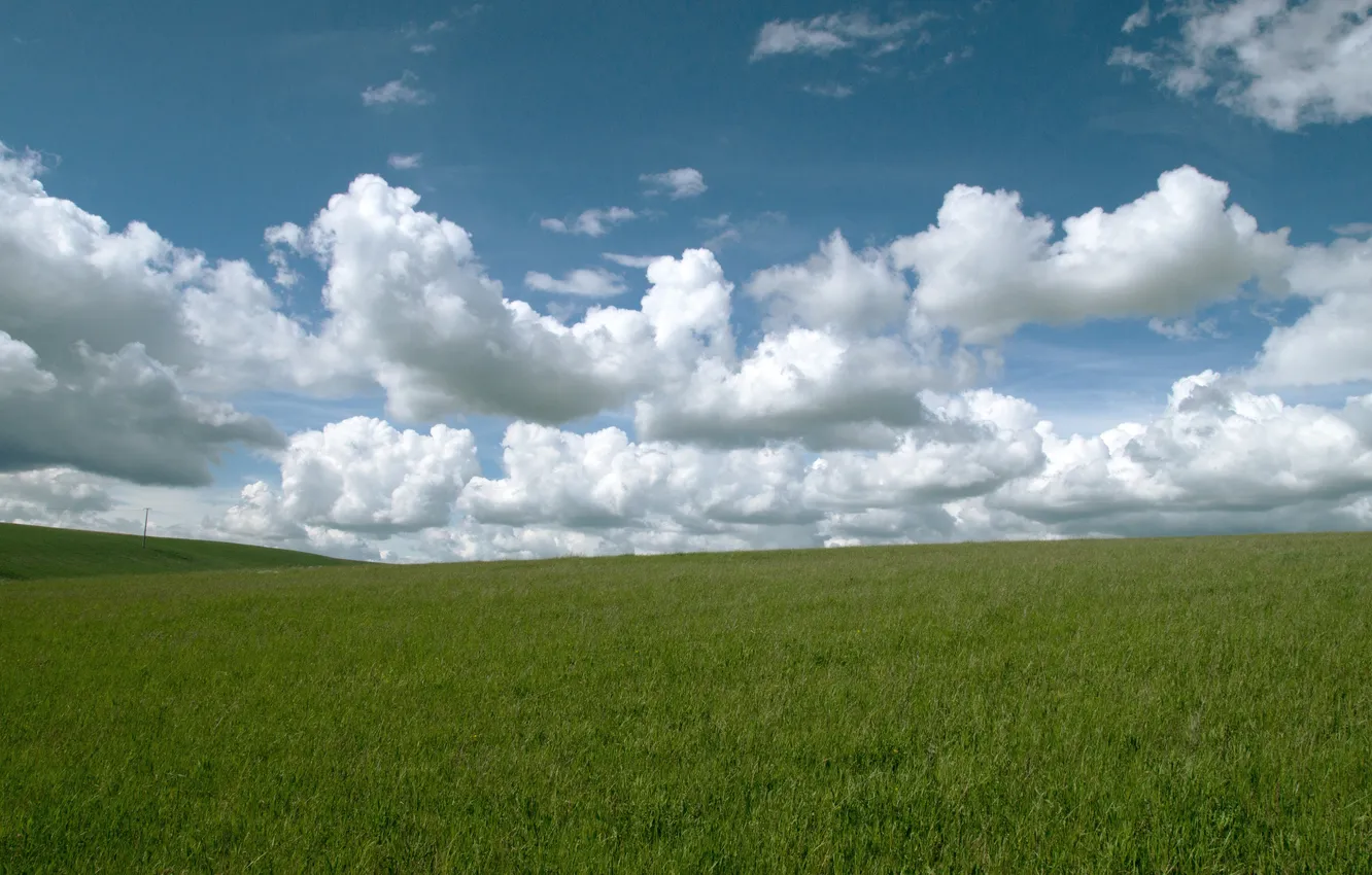 Фото обои grass, landscape, nature, horizon