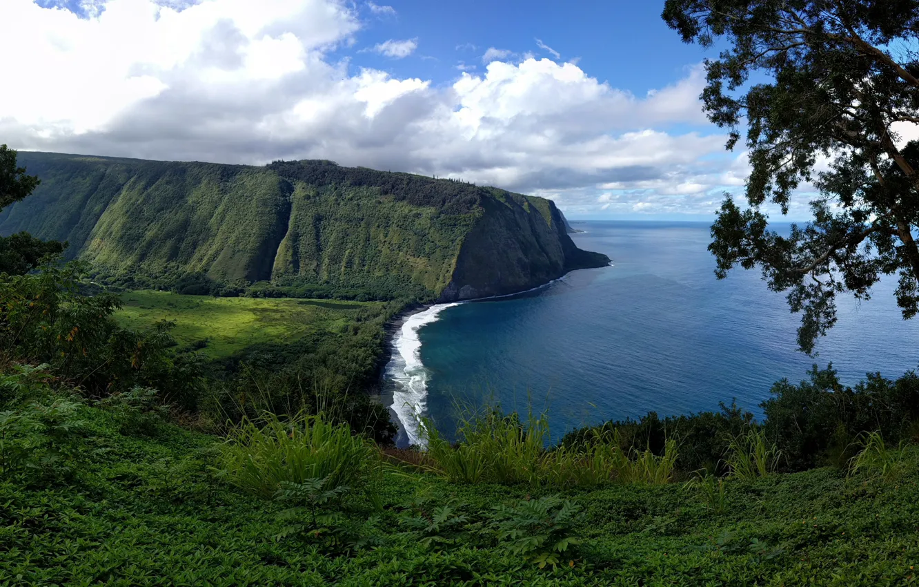 Фото обои Природа, Море, Гавайи, Пейзаж, Долина, Waipi'o Valley