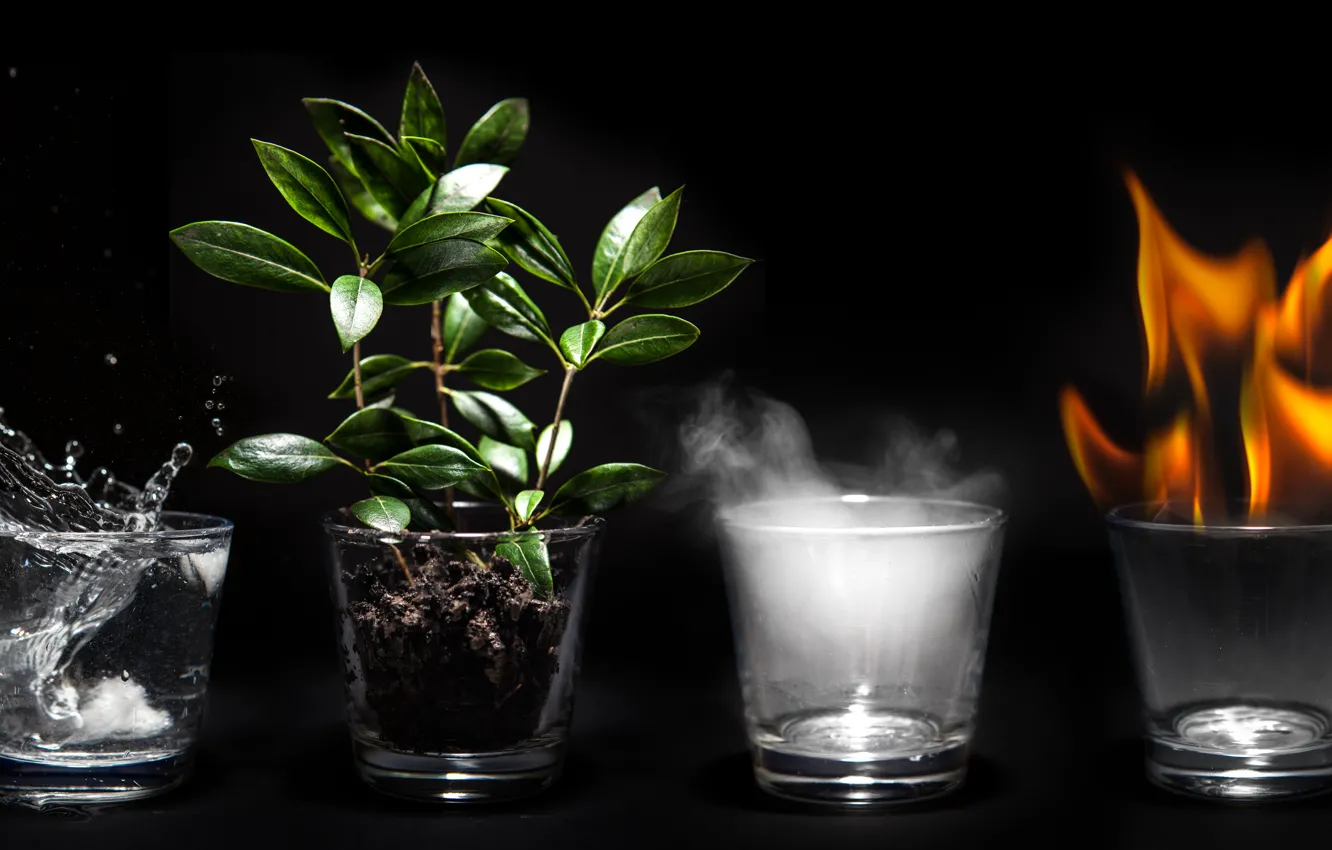 Фото обои earth, fire, water, air, 4 elements, glass cup