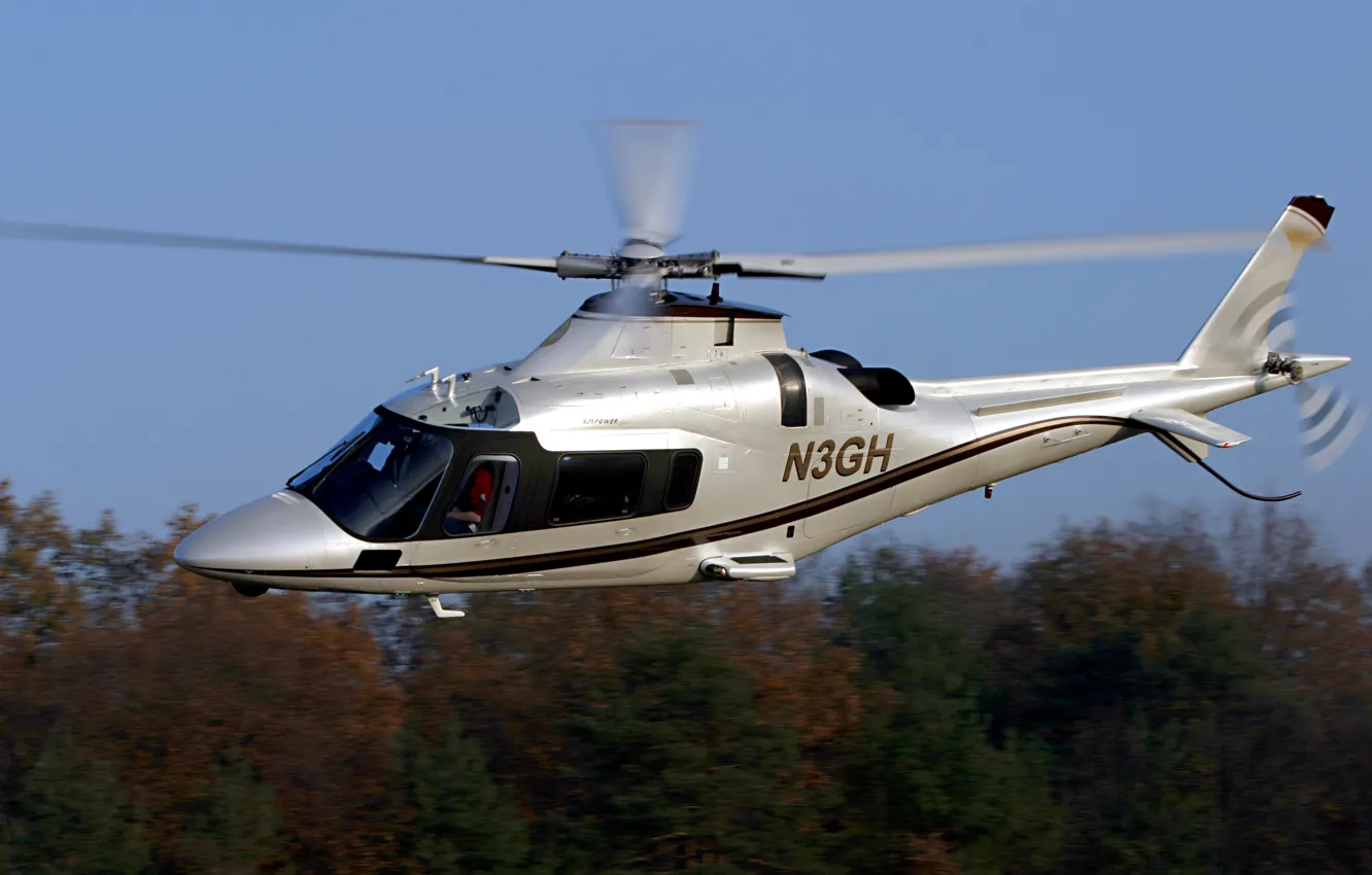 Фото обои лес, полет, легкий, вертолет, Power, итальянский, многоцелевой, Agusta
