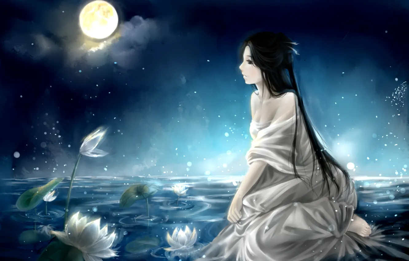 Фото обои небо, девушка, облака, ночь, озеро, луна, аниме, арт