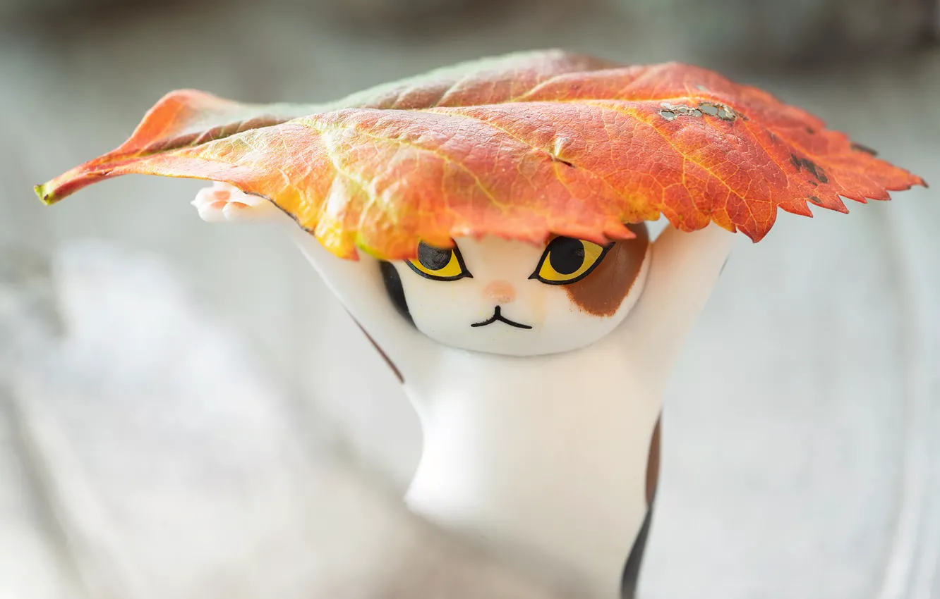 Фото обои кошка, котенок, игрушка, фигурка, осенний листок