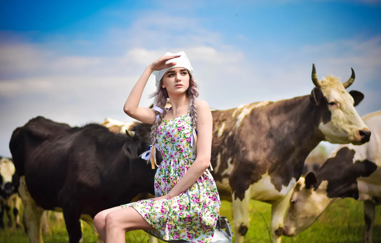 Фото обои девушка, коровы, доярка, Арина Коломиец
