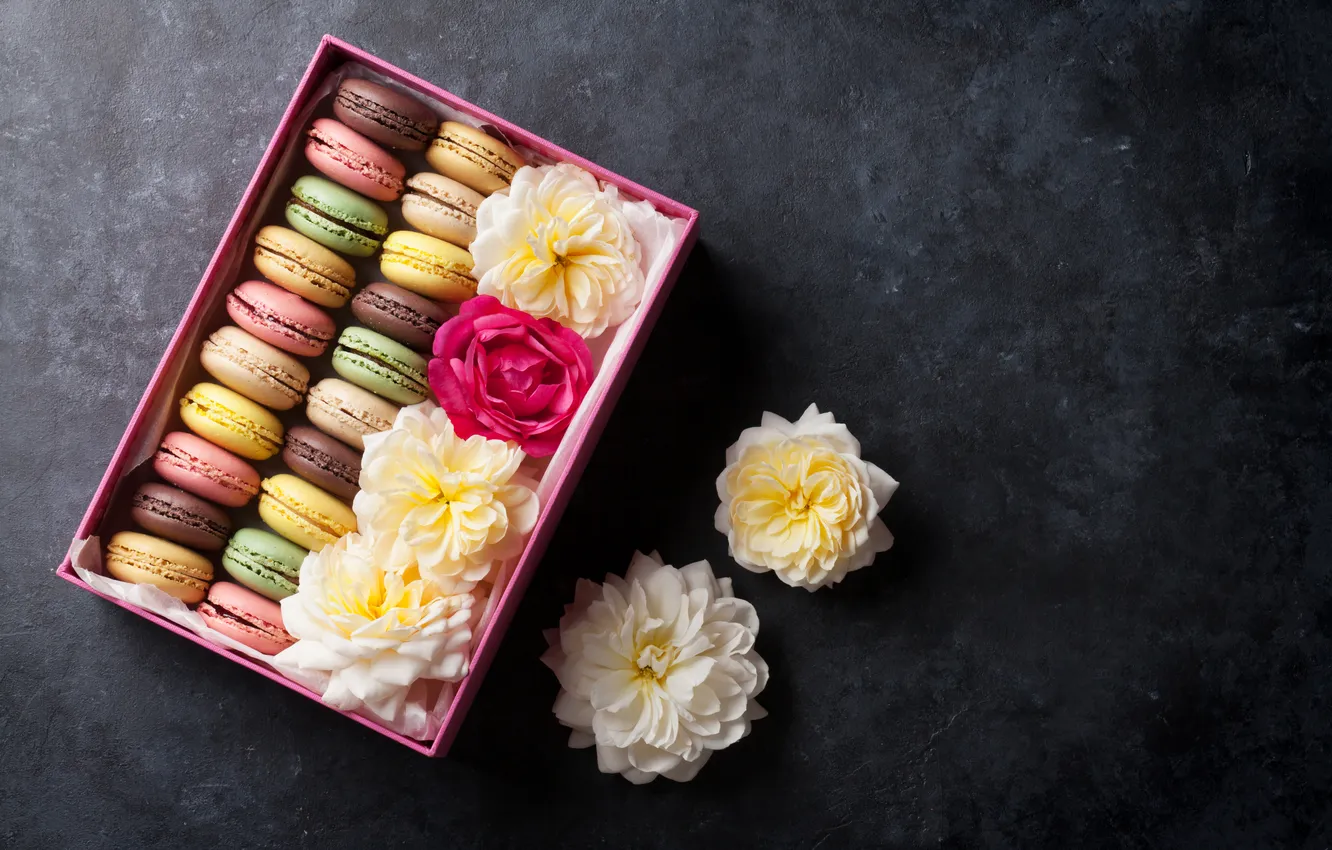 Фото обои цветы, подарок, colorful, pink, flowers, macarons, gift box, макаруны