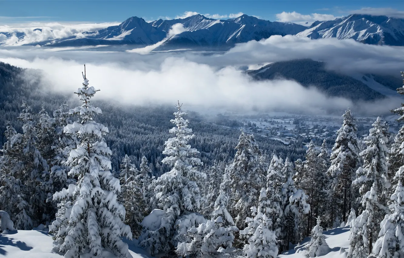 Фото обои зима, лес, облака, горы, Австрия, ели, долина, деревня
