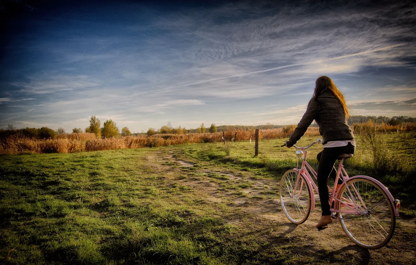 Фото обои поле, девушка, деревья, велосипед, ограда