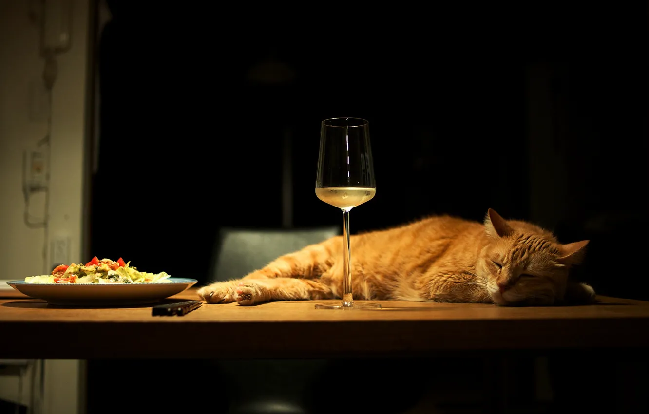 Фото обои кошка, кот, свет, поза, стол, вино, бокал, еда