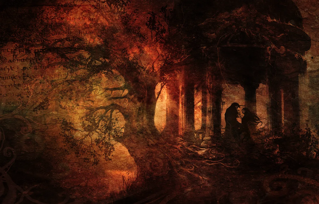 Фото обои лес, письмо, девушка, текст, корни, дерево, встреча, dark