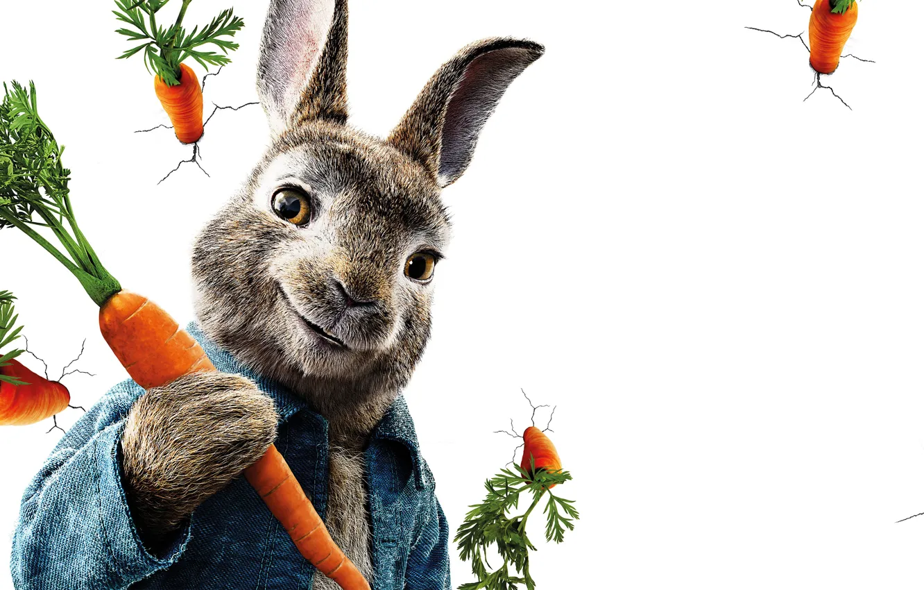Фото обои трещины, стена, мультфильм, кролик, белый фон, постер, морковь, Peter Rabbit