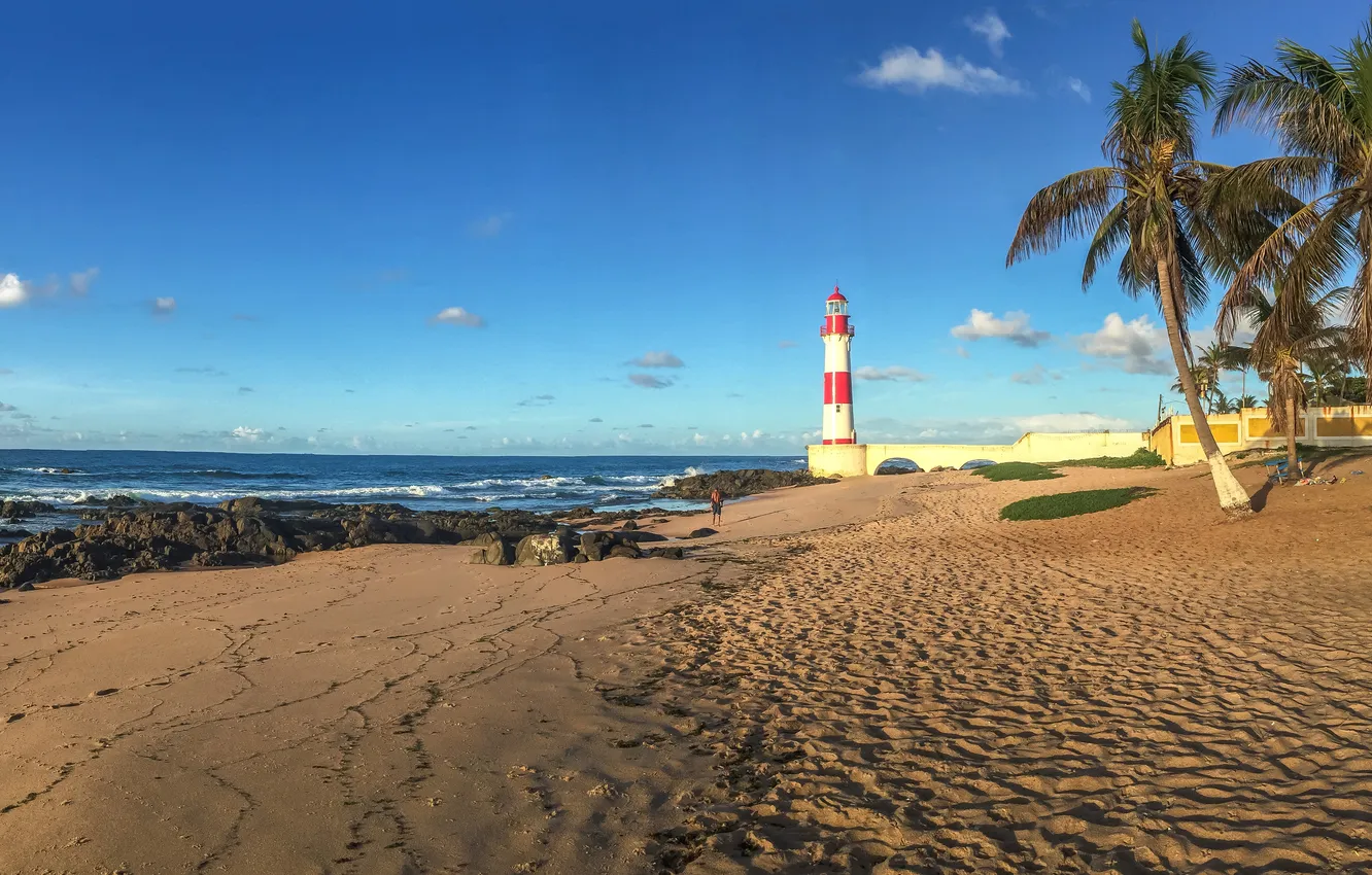 Фото обои песок, море, пляж, небо, солнце, камни, пальмы, побережье