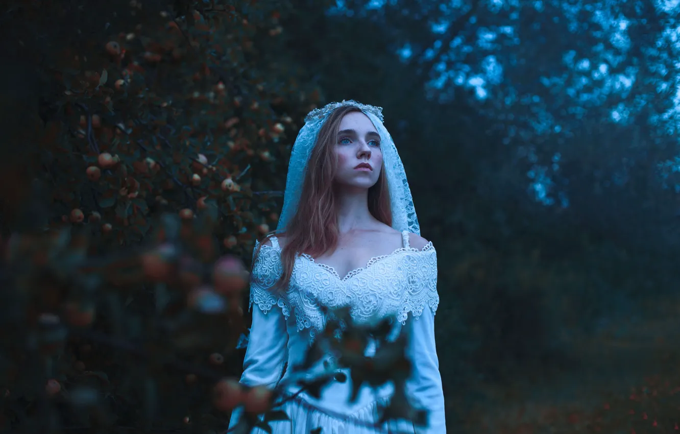 Фото обои яблоки, невеста, Aleah Michele, Midnight in the Garden