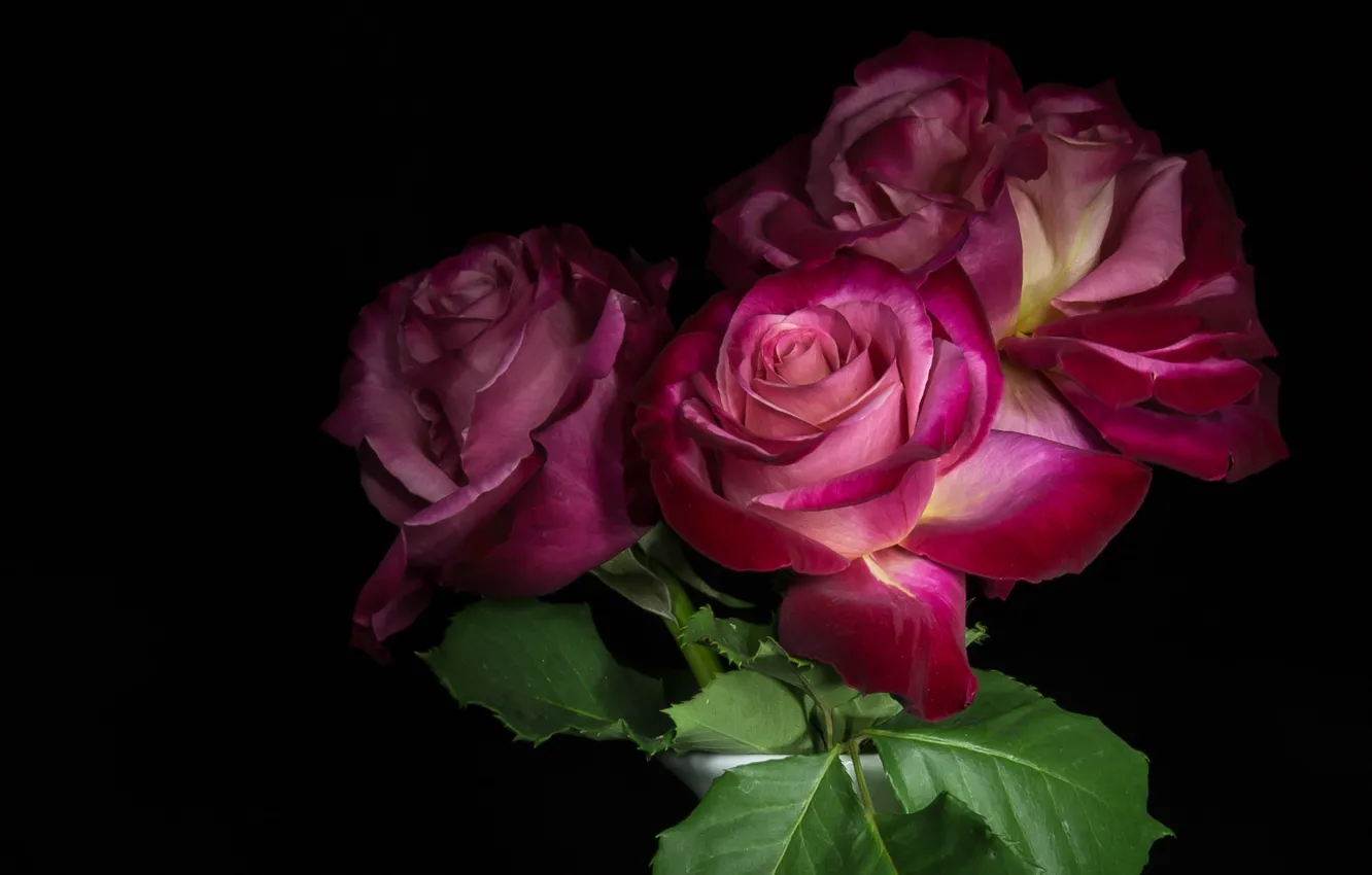 Фото обои фон, розы, букет, ваза