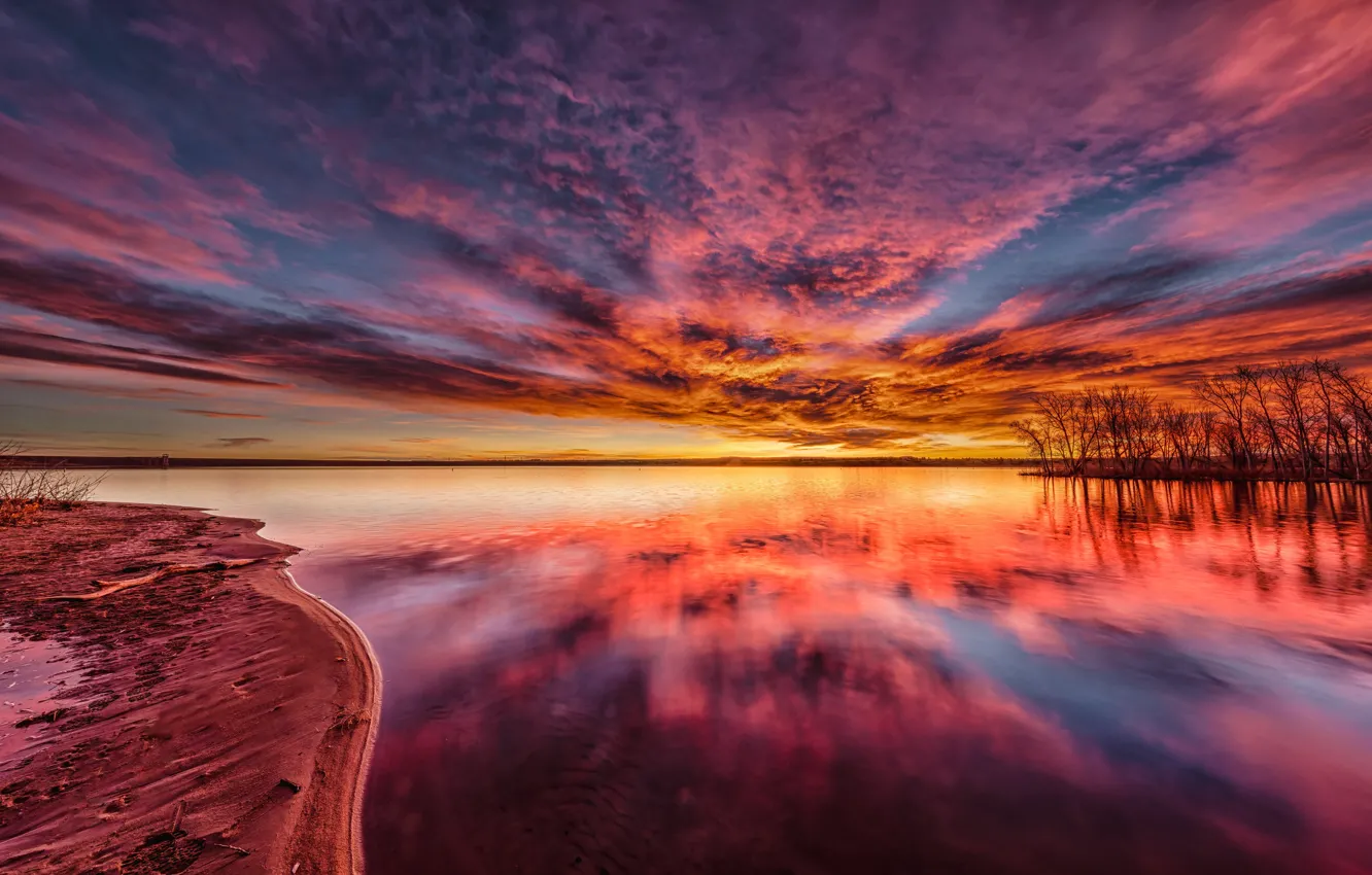 Фото обои небо, облака, деревья, озеро, рассвет, берег, Colorado, Chatfield State Park