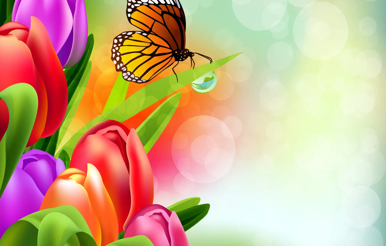Фото обои бабочки, цветы, рисунок, радуга, тюльпаны, яркость