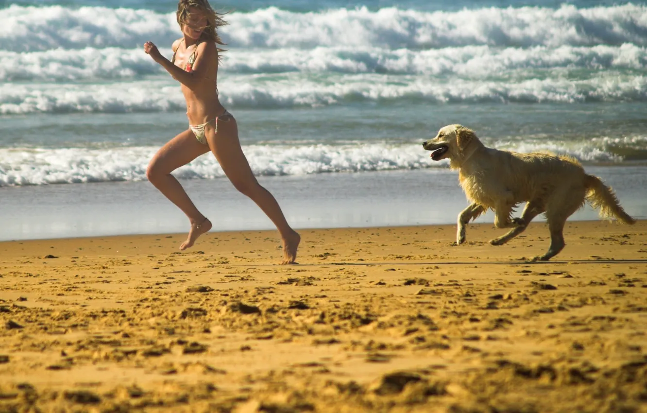 Фото обои пляж, собака, Игра