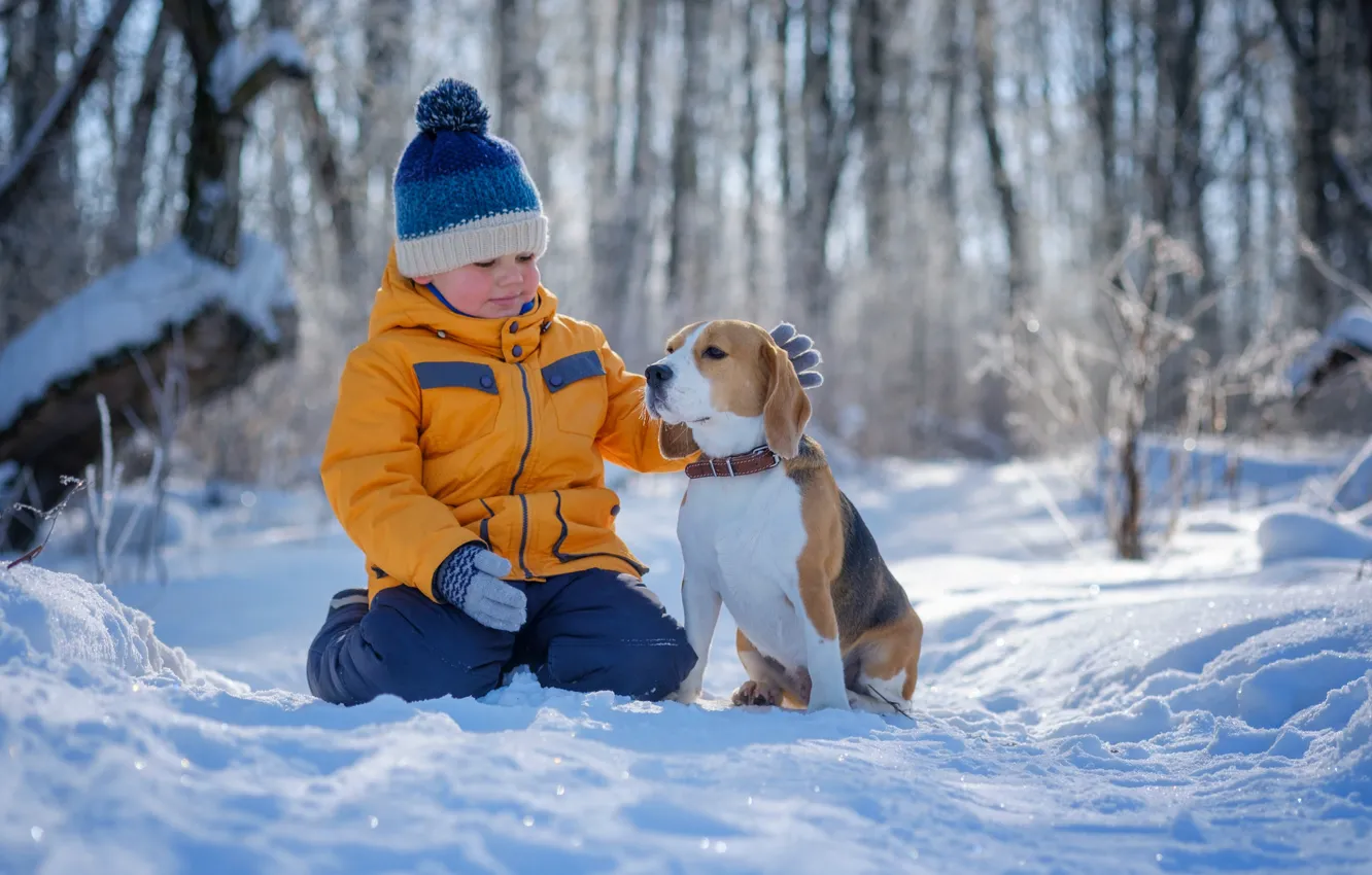 Фото обои зима, лес, снег, природа, животное, собака, Мальчик