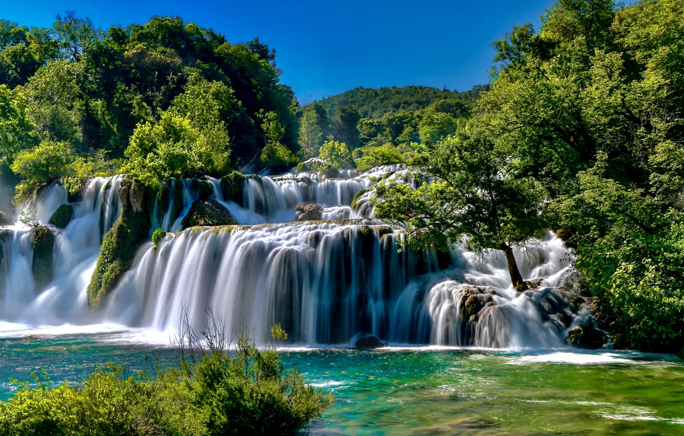 Фото обои лес, деревья, река, водопад, каскад, Хорватия, Croatia, Krka National Park